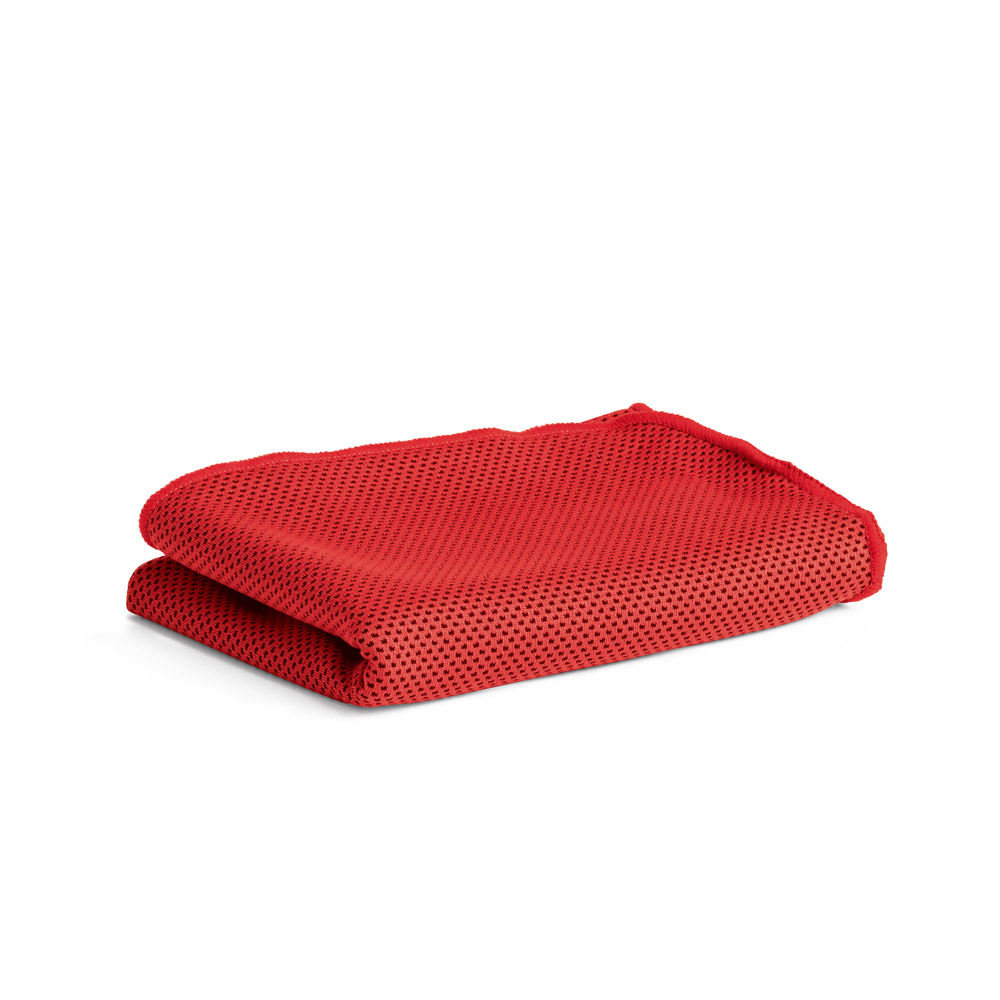 TOALHA INTELIGENTE PARA TREINO 30X80CM POLIAMIDA TL247D