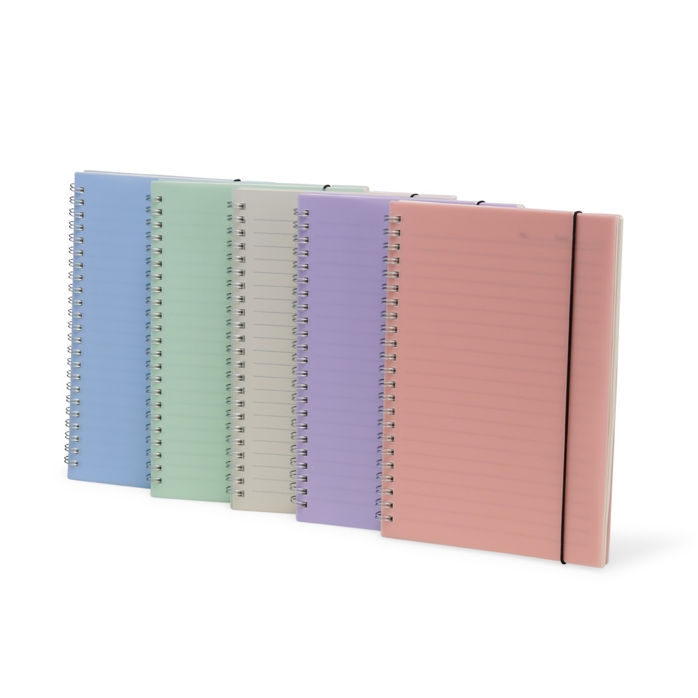 CADERNO COM CAPA EM PLASTICO E ELASTICO 21X14CM COM 80 FOLHAS MARFIM BA159M